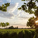 فندق Chateau Grand Barrail Saint-Émilion
