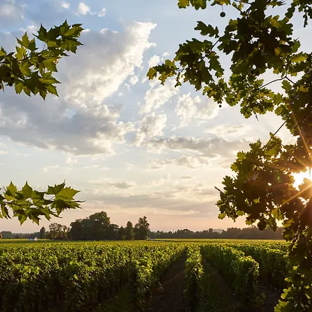 Hotel Château Grand Barrail Saint-Émilion