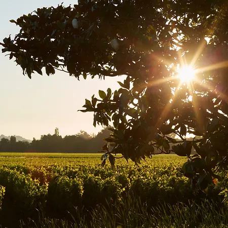 Château Grand Barrail Saint-Émilion