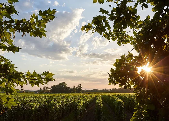 Hotel Château Grand Barrail Saint-Émilion