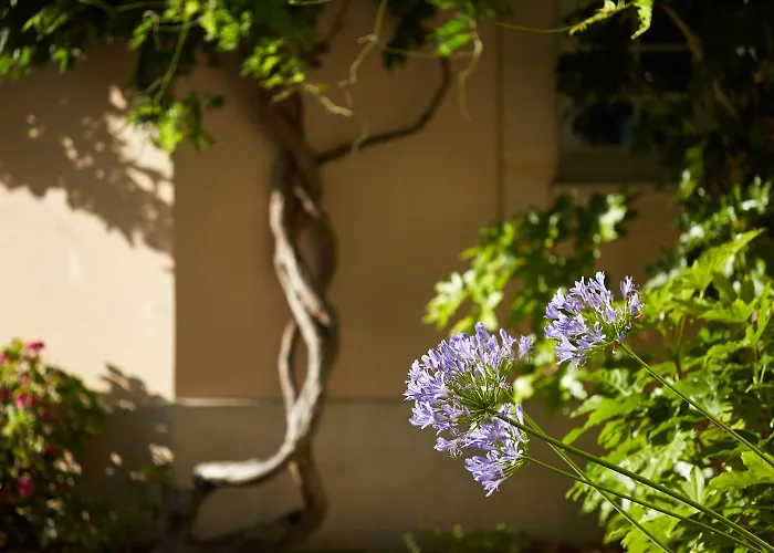 Hotel Chateau Grand Barrail